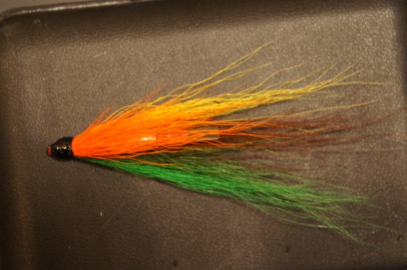 Fékk fyrsta laxinn minn á þessa í Blöndu