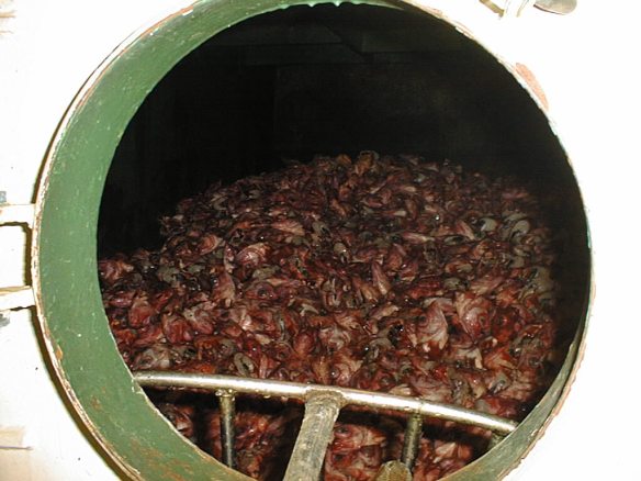 Þarna sjást karfahausar og innifli