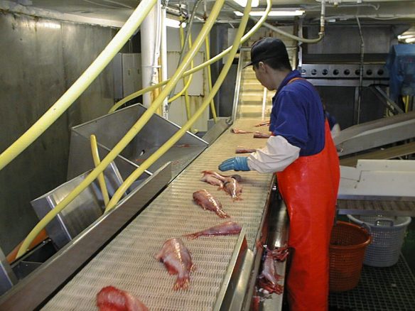 Handflokkun fyrir flokkarann