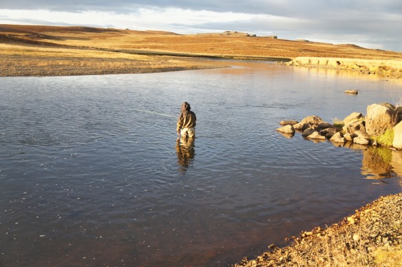 Við Robbi í Víðidalsá í september 2011
