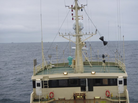 Á veiðum í mai 2012