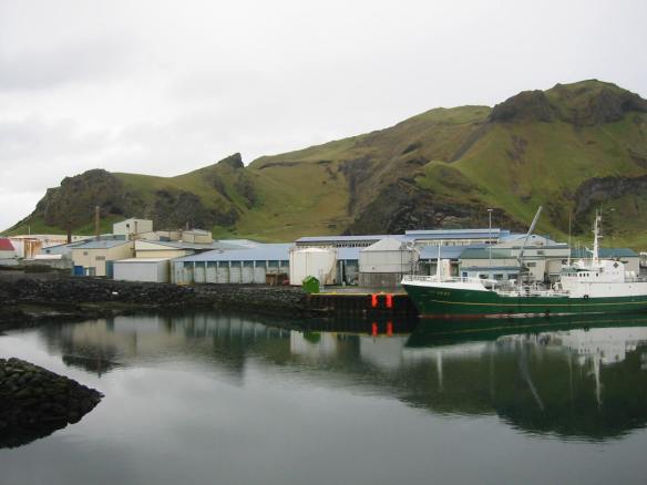Nokkrar myndir frá höfninni þennan dag