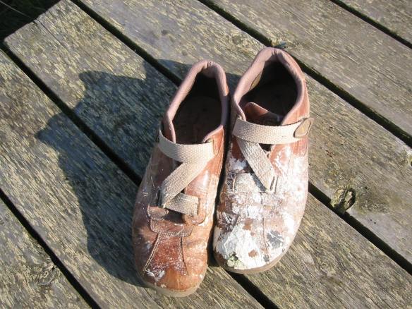 Hraun í Sléttuhlíð 12.6.2008