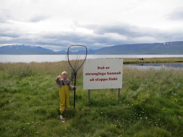 Fórum í tjarnirnar hjá Gunna Blöndal