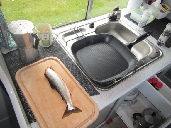 Smjörsteikt bleykja í matinn