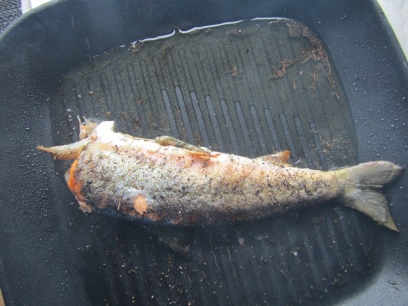 Fyllt með allskonar kryddjurtum