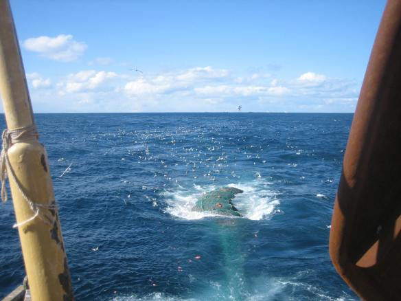 Reykjaneshryggur mai 2013