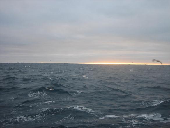 Stund milli bræla á vestfjarðarmiðum