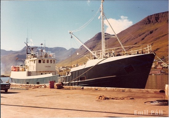 74d1e779-90fb-46e2-9a67-b26d4f2aa0a9_MS