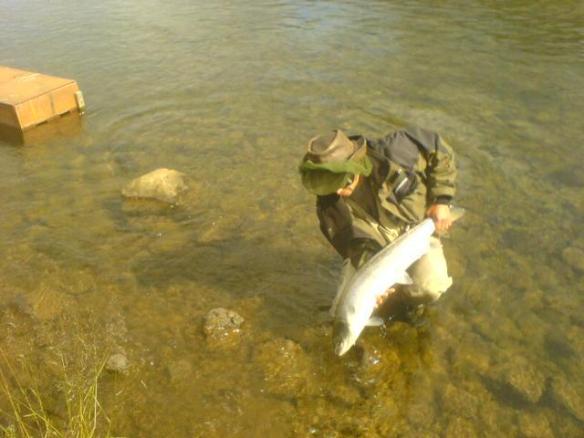 Gefa honum síðan frelsi aftur