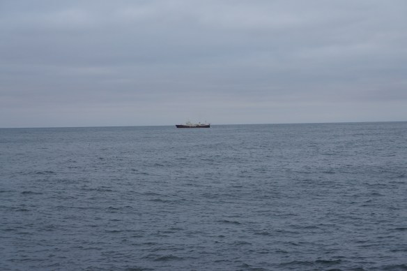 Samherji á svæðinu