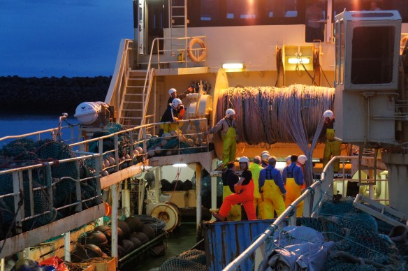 Flottrollið sett í land