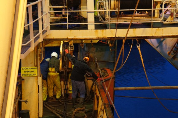 Hlerarnir hífðir í land