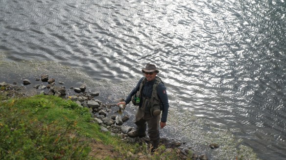 Þeir eru ekki allir stórir úr Höfðahyl
