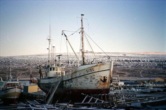 Gissur hvíti SI 55 2