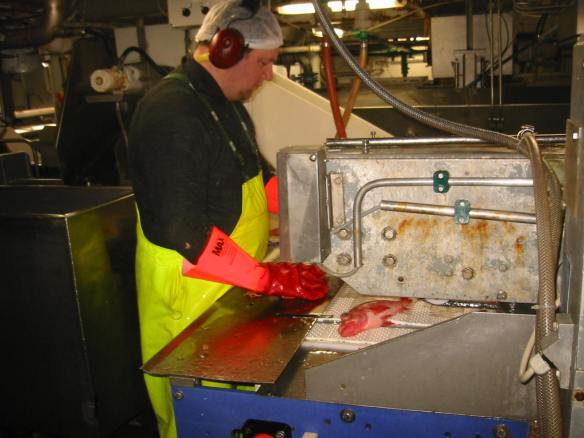 Nokkrar myndir úr vinslunni á Sibbunni