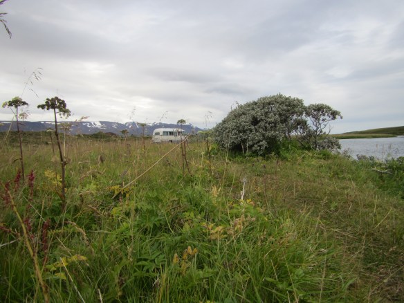 Fallegt og gróðursælt í Aðaldalnum