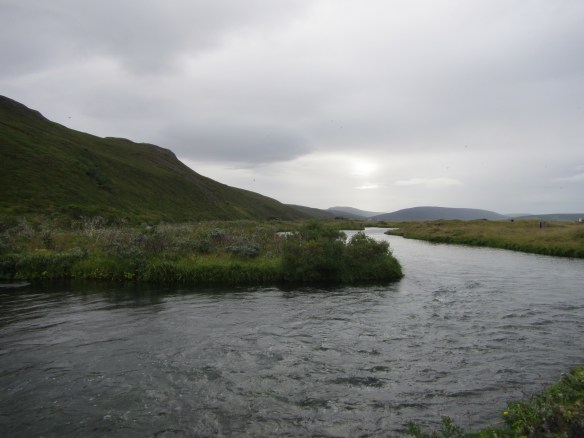 Laxá í Aðaldal 2013