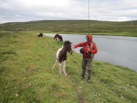 Á leið í Raflínustreng
