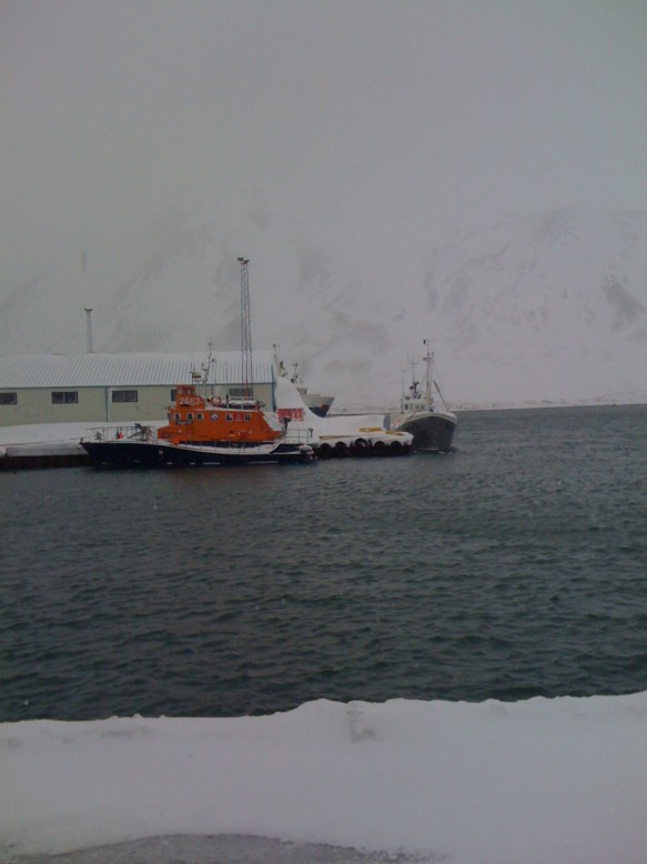 Myndir teknar í febrúar 2010