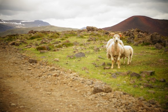 Dagur 2 - 21. júní - Hítarvatn