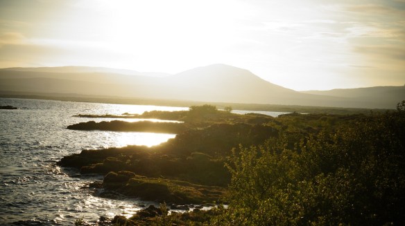 Dagur 4 - 21. júní - Þingvellir