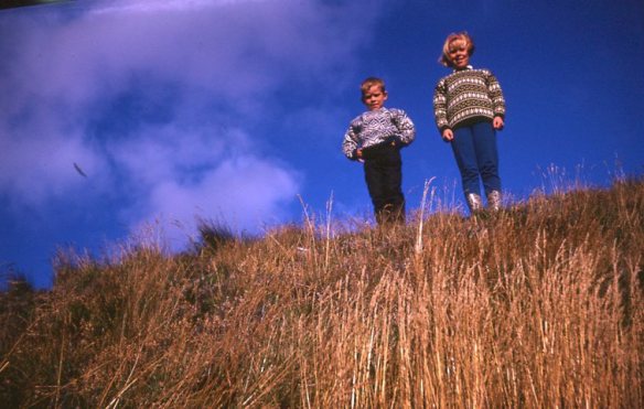 Svenni og Systa uppá þaki á Hofstaðarseli
