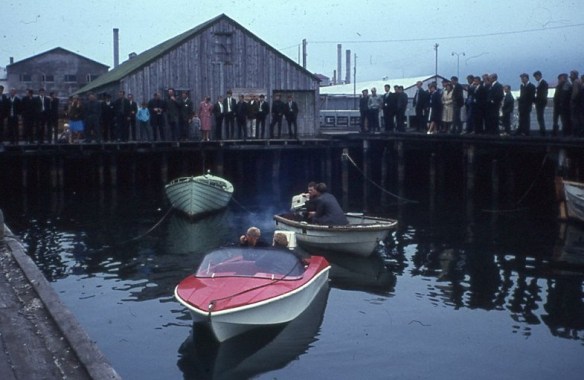 Bryggjurnar og hákarlar