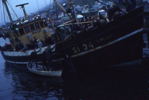 Hringur SI 34 með beinhákarl á síðunni