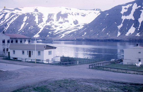 Haförninn siglir inn fjörðinn