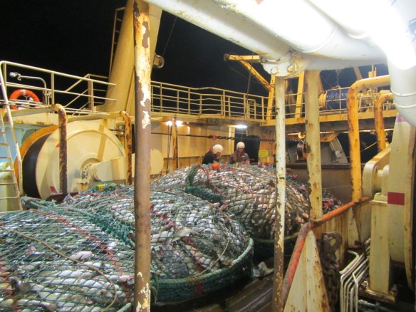 Mánaberg janúar 2014