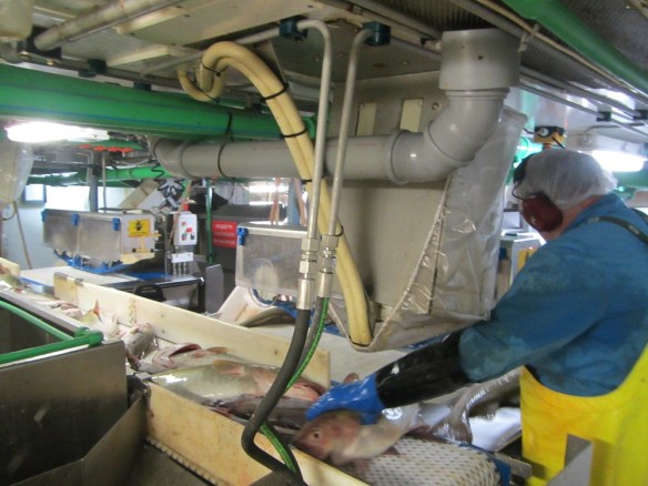 Mánaberg 11 janúar 2014