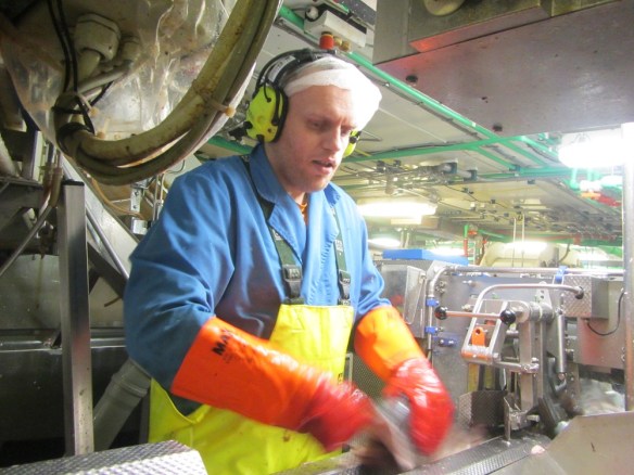 Mánaberg 11 janúar 2014