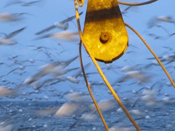 Mánaberg 11 janúar 2014