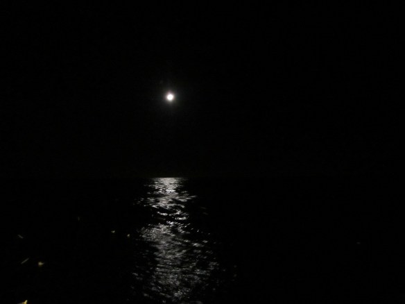 Mánaberg 12 janúar 2014