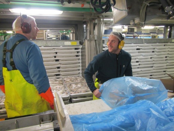 Heilfrystur smáþorskur