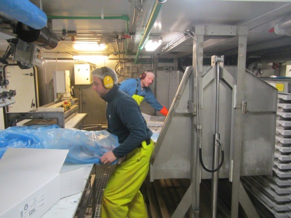 Mánaberg 23 janúar