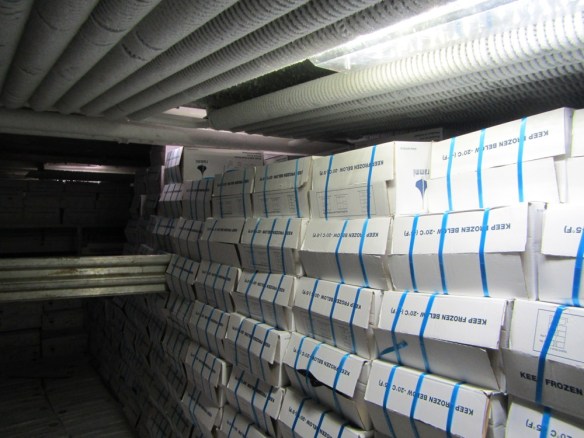 Mánaberg 24 jan 2014