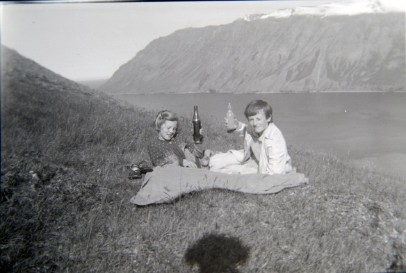 Alltaf vinsælt Malt og Appelsín