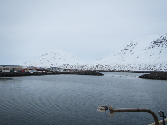 Ólafsfjarðarhöfn.