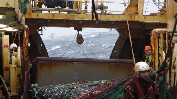 11. mars trollið tekið myndir