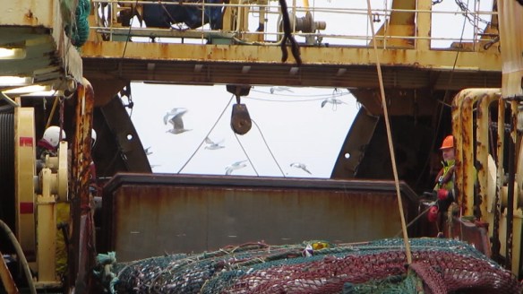 11. mars trollið tekið myndir