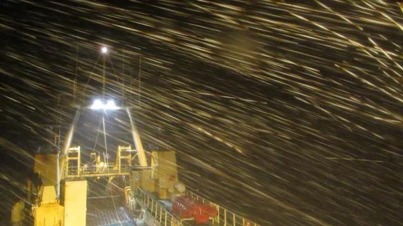 Haglél, á leiðinni í var