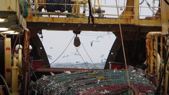 11. mars trollið tekið myndir