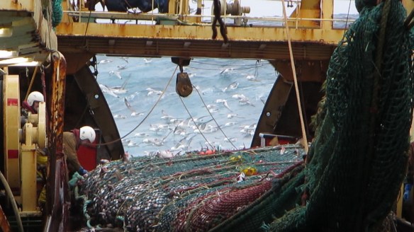 11. mars trollið tekið myndir