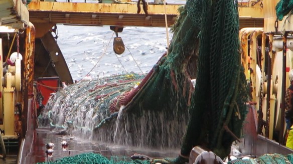 11. mars trollið tekið myndir