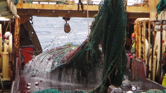 11. mars trollið tekið myndir