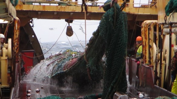 11. mars trollið tekið myndir