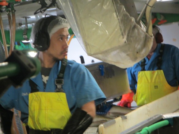 Daði og Finnur á hausurum.