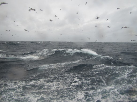 Bræla við Noregsstrendur